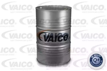 VAICO V60-0256 Моторное масло